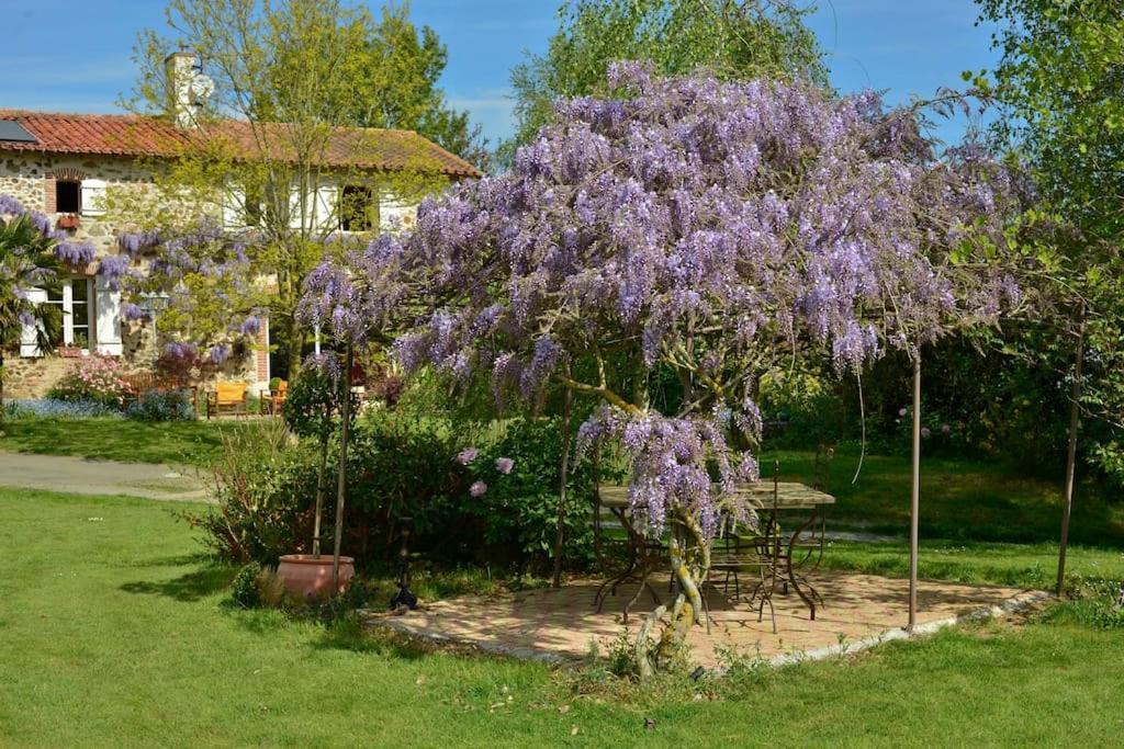 Bed and Breakfast La Frapperie La Pommeraie-sur-Sèvre Exterior foto